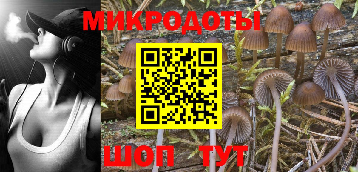 Галлюциногенные грибы мухоморы Новый Уренгой