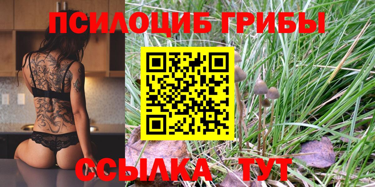 Галлюциногенные грибы MAGIC MUSHROOMS  Галлюциногенные грибы прущие грибы  Новый Уренгой  Вход с VPN 
