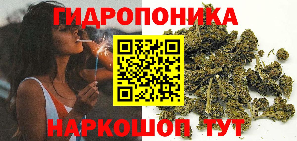 Новый Уренгой  Канабис тримм  Бошки марихуана семена  Вход с VPN 